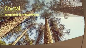  Presentation with chile - PPT theme featuring araucaria araucana trees in andes background and a tawny brown colored foreground