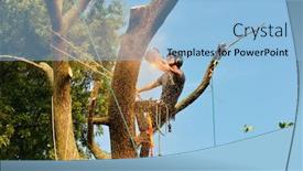  Presentation with chainsaw - Beautiful presentation theme featuring arborist-cutting-tree-action-shot backdrop and a light blue colored foreground