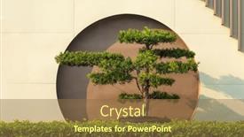  Presentation with japanese - Slide set enhanced with arch-door-and-japanese-podocarpus background and a  colored foreground