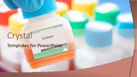  Presentation with deep sea - Presentation theme having archaea-these-microorganisms-are-known background and a lemonade colored foreground