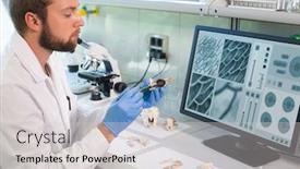  Presentation with archaeology - Audience pleasing PPT theme consisting of archaeologist-working-in-natural-research backdrop and a light gray colored foreground