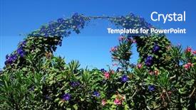  Presentation with bloom - PPT theme enhanced with architectonic detail of a garden in bloom - bow full of flowers background and a teal colored foreground