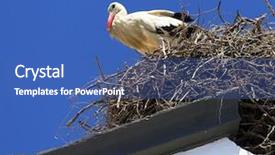  Presentation with architectural - Beautiful PPT theme featuring architectural detail in the old town of faro - capital of algarve - portugal europe backdrop and a ocean colored foreground