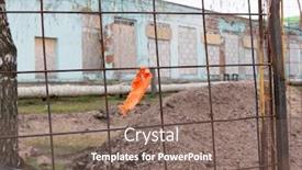  Presentation with architecture - Audience pleasing PPT theme consisting of architecture backgrounds and objects backdrop and a violet colored foreground