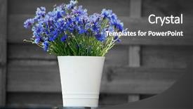  Presentation with wood type design - Presentation enhanced with architecture desing - outdoor design composed with natural background and a dark gray colored foreground