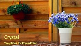  Presentation with outdoor furniture - Colorful PPT theme enhanced with architecture desing - outdoor design composed with natural backdrop and a tawny brown colored foreground