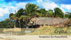  Presentation with green architecture - Beautiful slide set featuring architecture green coconut - house and palm backdrop and a yellow colored foreground