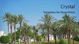  Presentation with luxury hotel - Audience pleasing slides consisting of architecture green coconut - palm grove in a luxury backdrop and a  colored foreground