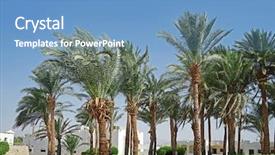  Presentation with luxury hotel - Slides having architecture green coconut - palm grove in a luxury background and a  colored foreground