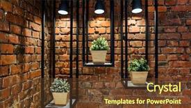  Presentation with plants - Beautiful slide deck featuring  backdrop and a  colored foreground