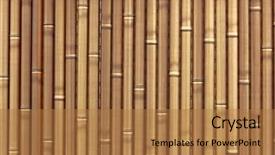 Presentation with bamboo - PPT layouts having architecture wood - plastic bamboo fence background background and a coral colored foreground