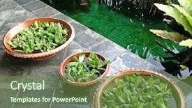  Presentation with apa style for care plan - Amazing PPT layouts having arcitecture - pot with floating plants backdrop and a  colored foreground
