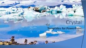  Presentation with birds - Theme featuring arctic-birds-goose-feed-offshore background and a light blue colored foreground