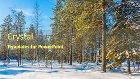  Presentation with forest fairy - Audience pleasing presentation design consisting of arctic-circle-journey backdrop and a tawny brown colored foreground