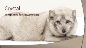  Presentation with white snow - PPT layouts having golden christmas balls with a beautiful bow twigs spruce and confetti stars on a white background background and a lemonade colored foreground