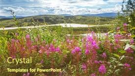  Presentation with summer flowers - Presentation theme with arctic-landscapes-flowers-meadow background and a tawny brown colored foreground