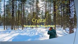  Presentation with forest morning - Presentation consisting of arctic-lapland-great-frosty-morning background and a tawny brown colored foreground