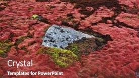  Presentation with moss - Audience pleasing presentation consisting of arctic-moss-polar-colors backdrop and a tawny brown colored foreground