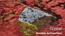  Presentation with moss - Audience pleasing slide deck consisting of arctic-moss-polar-colors backdrop and a tawny brown colored foreground