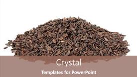  Presentation with herbal medicine - PPT theme featuring arctium-fruit-used-in-chinese background and a violet colored foreground