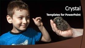  Presentation with pet - Presentation theme featuring are afraid of little hedgehog background and a black colored foreground