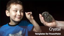  Presentation with big boy - Presentation design enhanced with are afraid of little hedgehog background and a tawny brown colored foreground