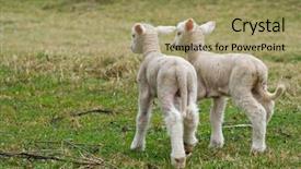  Presentation with two cute sisters playing - Amazing PPT theme having are leaving and walk away backdrop and a coral colored foreground