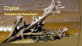  Presentation with chernobyl - Slide deck enhanced with area kiev collection active sediment background and a tawny brown colored foreground