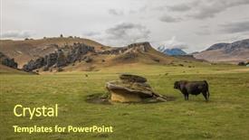  Presentation with area - Amazing slide deck having area or kura tawhiti arthur backdrop and a tawny brown colored foreground