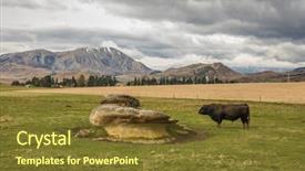  Presentation with area - Amazing PPT layouts having area or kura tawhiti arthur backdrop and a tawny brown colored foreground