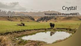  Presentation with area - Amazing PPT theme having area or kura tawhiti arthur backdrop and a mint green colored foreground