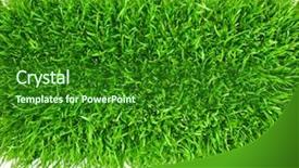  Presentation with stage - Amazing presentation theme having areas stage - green grass area isolated backdrop and a  colored foreground