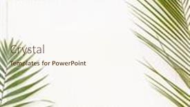  Presentation with palm leaves - Slides consisting of areca-palm-leaves-on-white background and a cream colored foreground