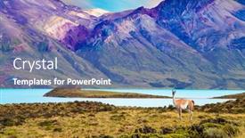  Presentation with cold water - Presentation theme featuring argentina-patagonia-guanaco background and a ocean colored foreground