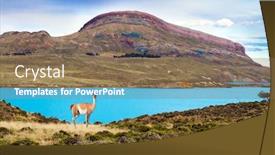  Presentation with cold water - Beautiful presentation design featuring argentina-patagonia-los-glaciares-natural backdrop and a violet colored foreground