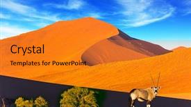  Presentation with africa tourism - Audience pleasing theme consisting of gazelle - namibia south africa sunset backdrop and a gold colored foreground