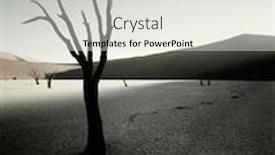  Presentation with landscape desert - Beautiful presentation theme featuring arid-landscape-tree-in-desert backdrop and a light gray colored foreground