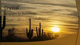  Presentation with arizona desert - Colorful slide set enhanced with arizona desert landscape phoenix scottsdale backdrop and a coral colored foreground