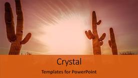  Presentation with arizona desert - Slide deck consisting of arizona desert landscape saguaro cactus background and a gold colored foreground