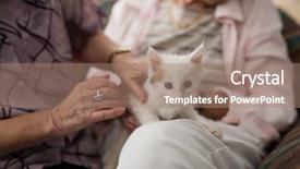  Presentation with females - PPT layouts enhanced with armchair at retirement home background and a coral colored foreground