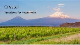  Presentation with grape - Amazing slide set having armenian - grape field in ararat valley backdrop and a light blue colored foreground