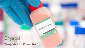  Presentation with fungus - PPT theme with armillaria-mellea-fungus-a-species background and a lemonade colored foreground