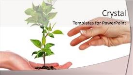  Presentation with environmental - Cool new PPT theme with arms and light bulbs symbol backdrop and a sky blue colored foreground