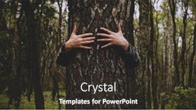  Presentation with environment protection - Slides having arms-hugging-a-tree background and a dark gray colored foreground