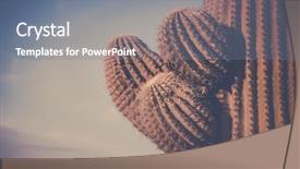  Presentation with saguaro - Slide deck with arms of saguaro scottsdale phoenix background and a gray colored foreground