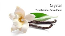  Presentation with vanilla - Cool new presentation theme with aroma - vanilla sticks and flower backdrop and a white colored foreground
