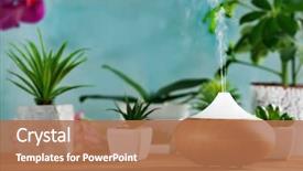  Presentation with diffuser - Amazing presentation theme having aroma oil diffuser and plants backdrop and a coral colored foreground