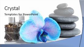  Presentation with orchid - Audience pleasing PPT theme consisting of aroma oil isolated on white backdrop and a white colored foreground