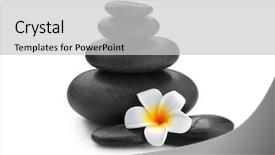  Presentation with spirituality zen meditation stone - PPT theme consisting of zen basalt stones and frangipani background and a light gray colored foreground