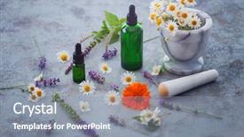 Presentation with aromatherapy oil - Slide set having aromatherapy oil with fresh herbs background and a gray colored foreground